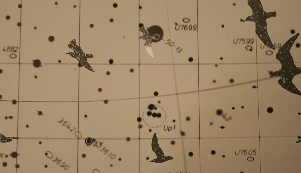 Snapshot of a collage from an animation with birds and a star map