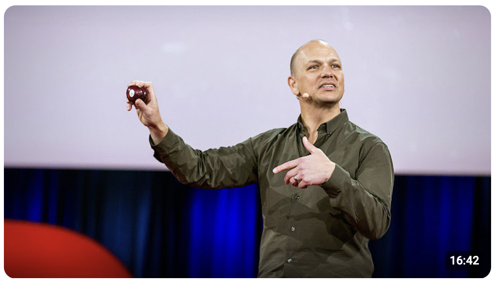 A man giving a TED Talk stands on stage wearing a dark green shirt and a headset microphone. He is holding up a small round object in his left hand and gesturing with his right while speaking. Behind him is a red and blue stage backdrop with a large screen, and a timer reading “16:42” appears in the bottom right corner.